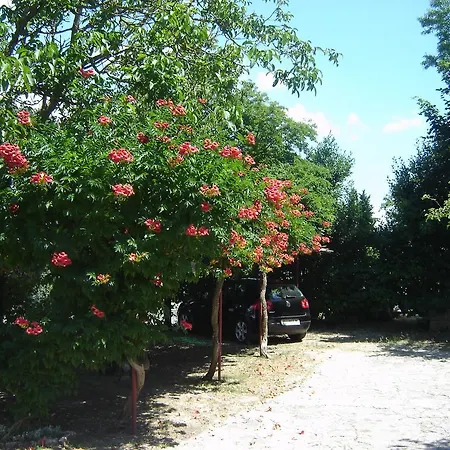Grgorinić Apartament