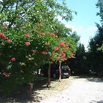 Grgorinic Apartamento