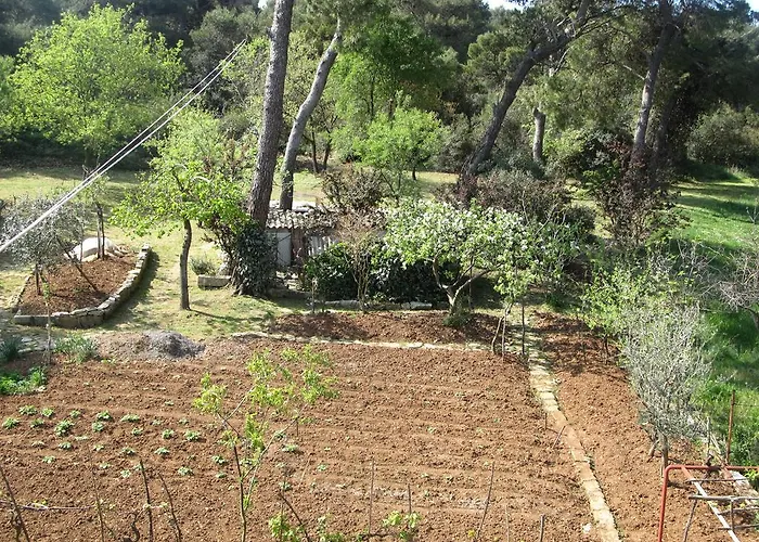 Διαμέρισμα Grgorinic