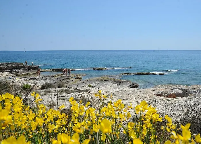 Grgorinic Διαμέρισμα *