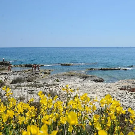 Grgorinic Apartment *